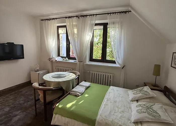 ホームステイ Goscinny Dom